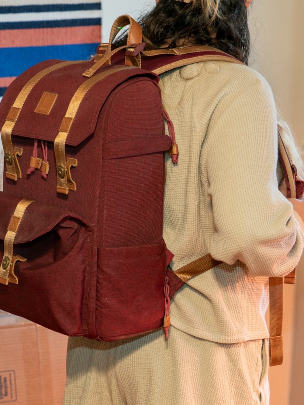 Langly Alpha Compact Camera Backpack - Picture 2 of 8
